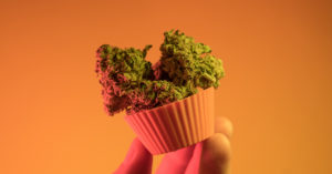 How to Craft a Winning Illinois Department of Agriculture Cannabis Craft Grower Application