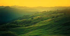 California recently tasked CalCannabis with developing a process for licensed cannabis cultivators to establish state cannabis appellations - the CalCannabis Appellations Project.