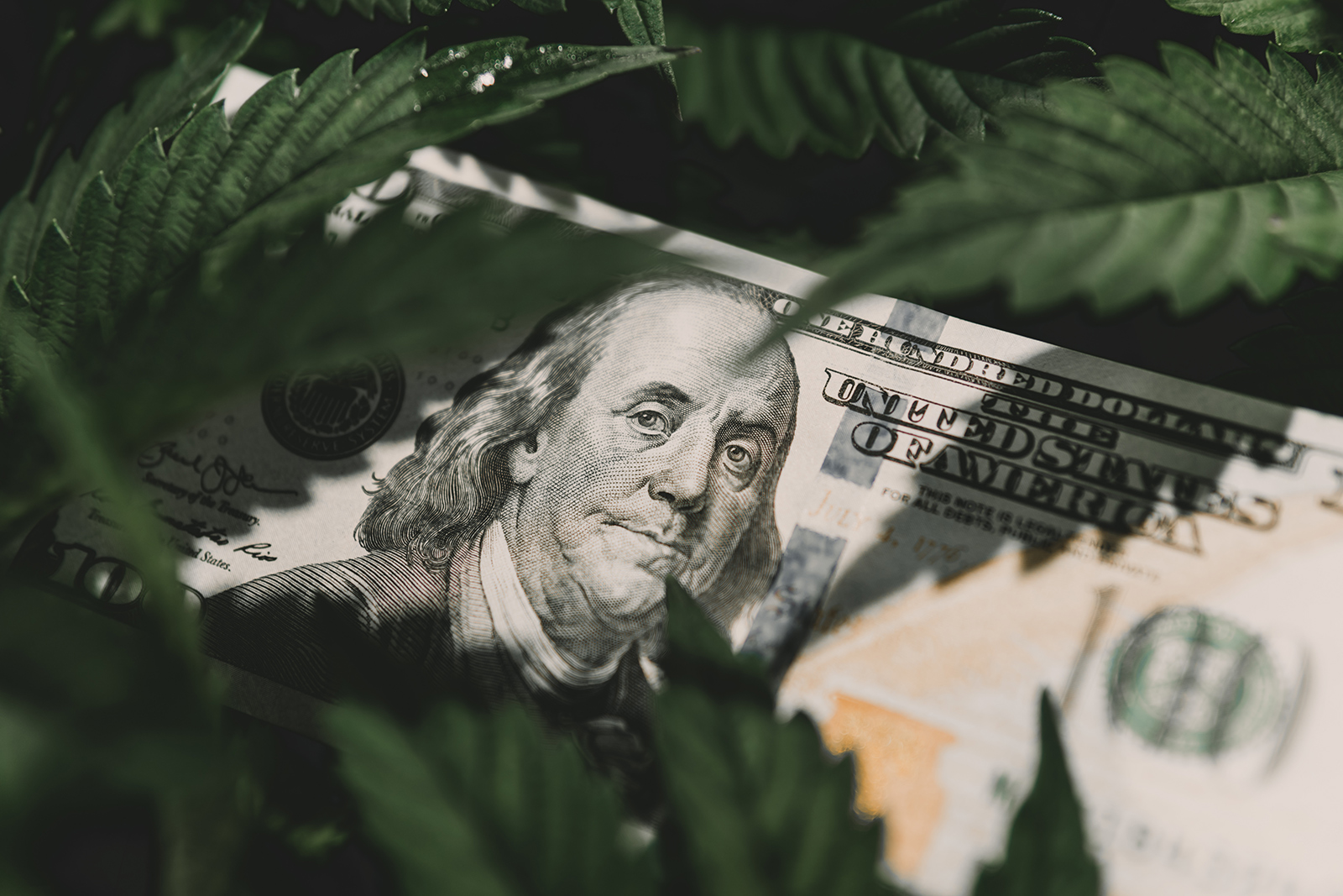 New Cannabis Tax Rates in California