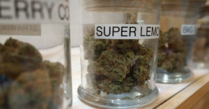 Converting cannabis dispensaries into general share corporations