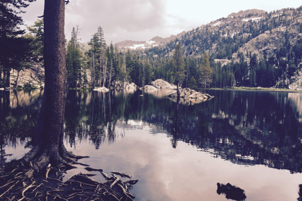 Alpine County Marijuana Regulations