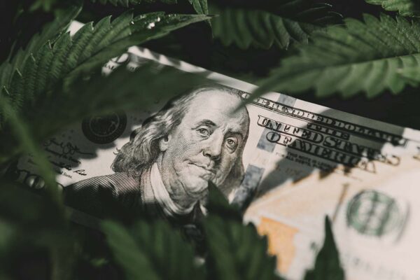 LA County Cannabis Business Tax Measure
