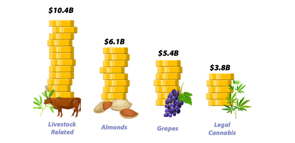 Economic value (USD) generated by various crops in California compared to the value of cannabis and cannabis products.