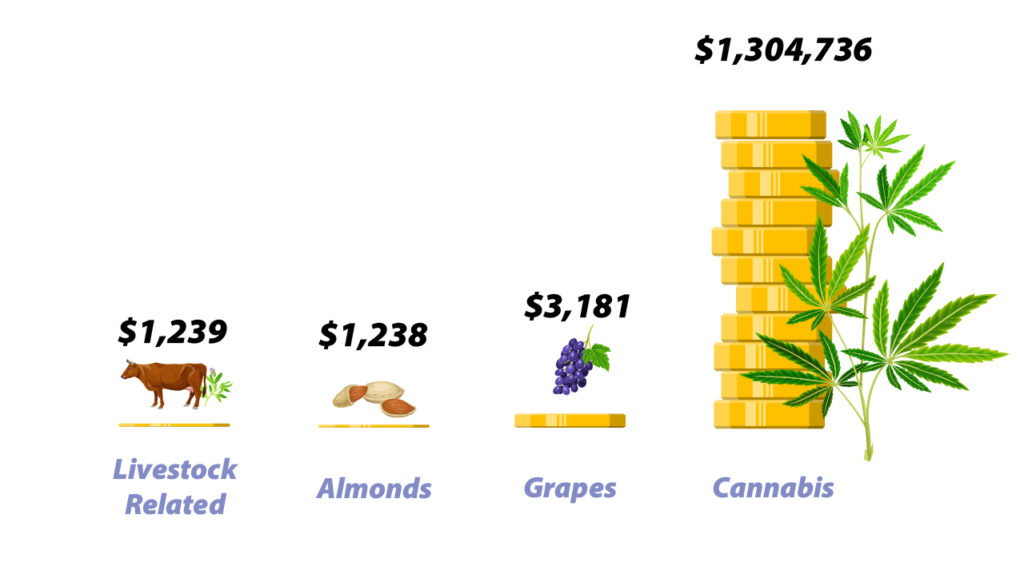 Economic value (USD) generated by various crops per acre foot of water consumed.