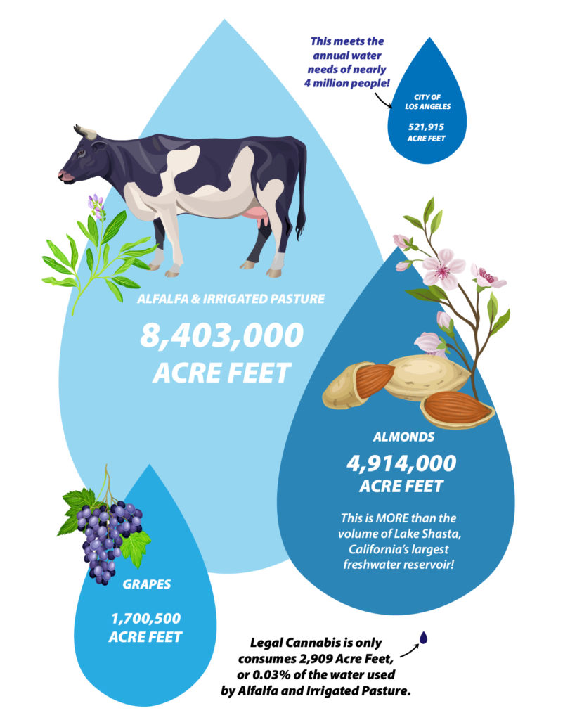 Annual water usage (in acre feet) of various crops as well as the City of Los Angeles, shown to scale.