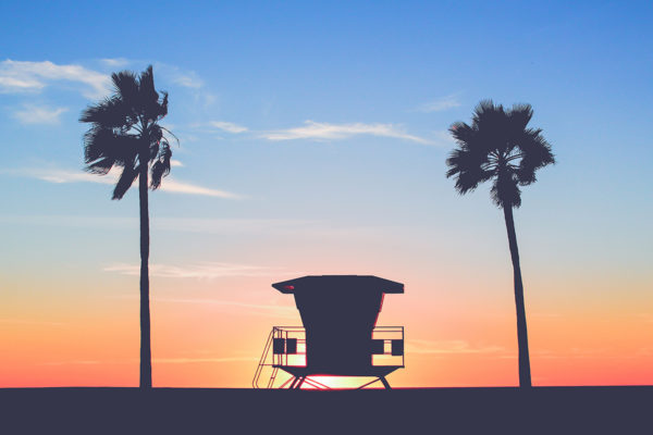 California Cannabis Lawyers at Rogoway Law Group