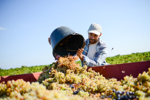 27 CFR Part 24: Proposed TTB Rules Seek to Modernize Wine Permit Applications and Operations