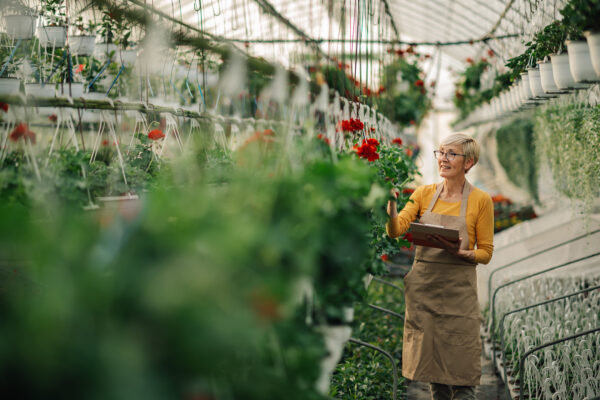 Trademark Protection for Plant Varieties