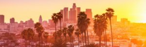 california cannabis lawyers website